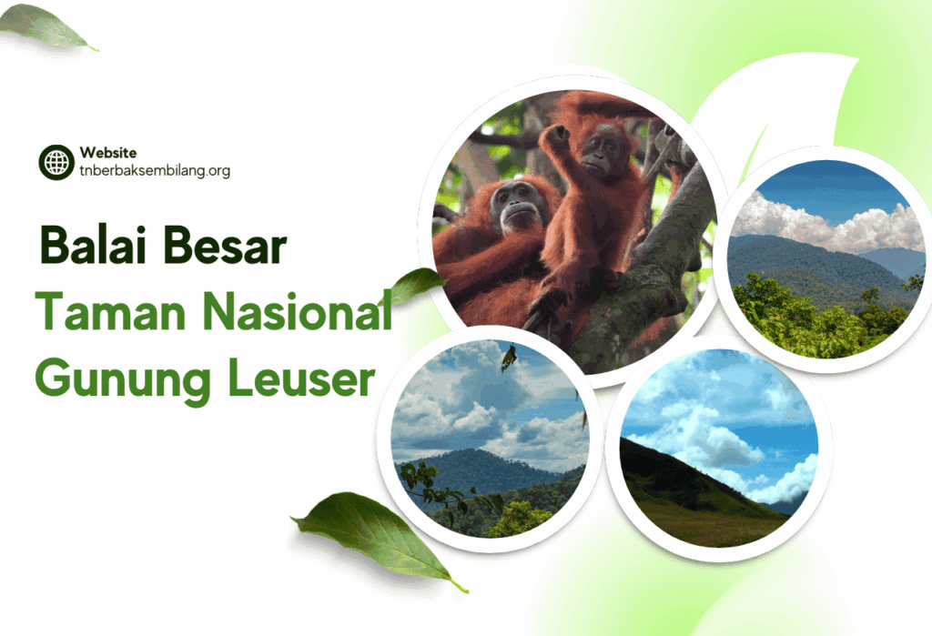 Balai Besar Taman Nasional Gunung Leuser