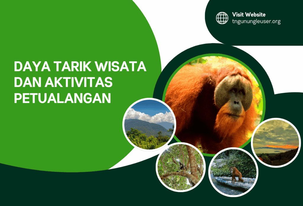 Daya Tarik Wisata dan Aktivitas Petualangan