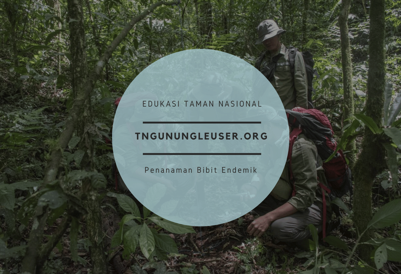 Edukasi Konservasi Taman Nasional