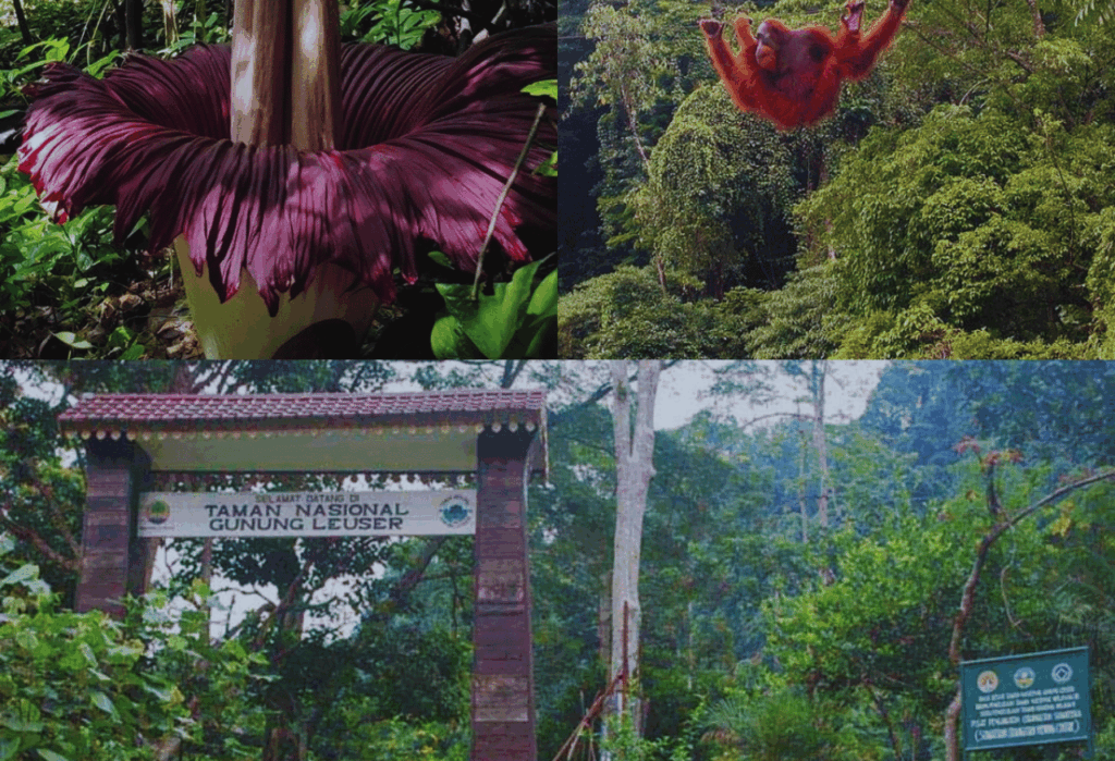 Kekayaan Hayati yang Terjaga