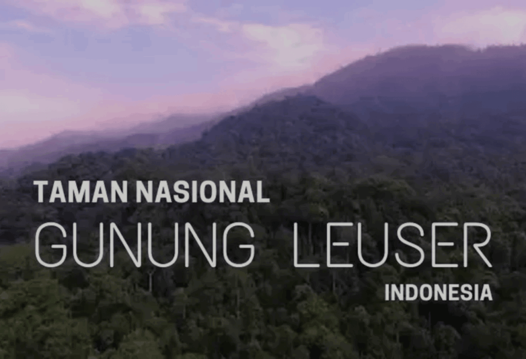 Keunggulan Taman Nasional Gunung Leuser sebagai Kawasan Konservasi