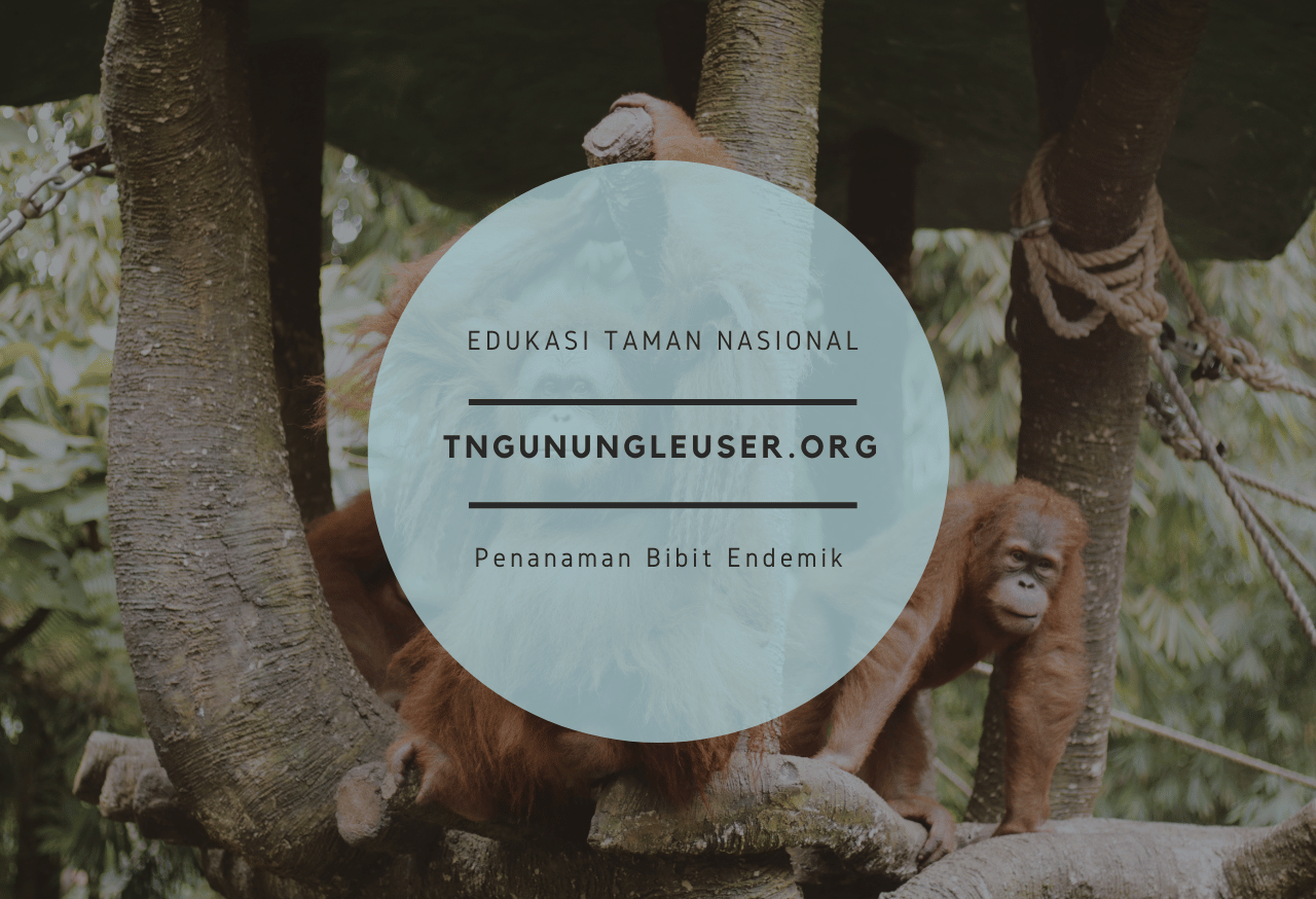 Keunggulan Taman Nasional