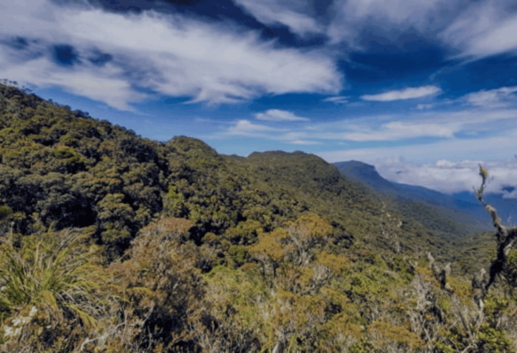 Lokasi dan Karakteristik Geografis