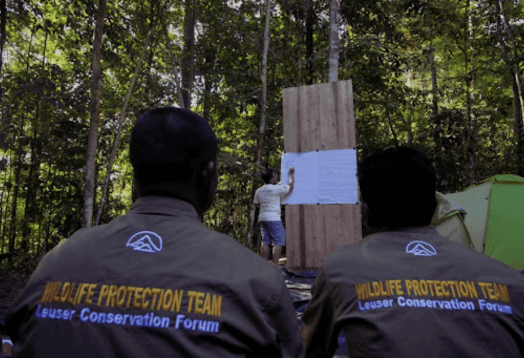 Mengapa Edukasi Konservasi di Taman Nasional Gunung Leuser Penting