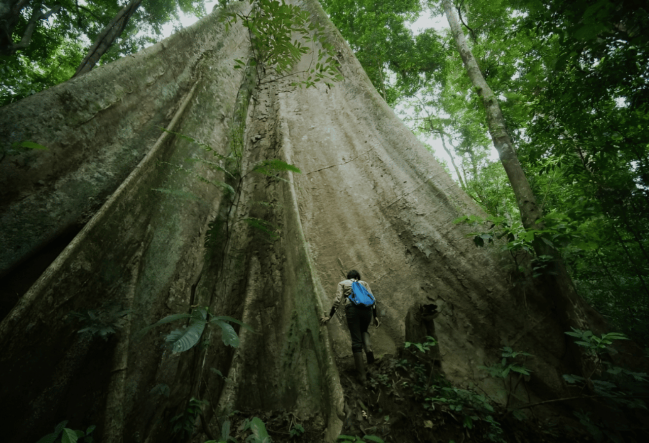 Pelatihan Remaja Alam