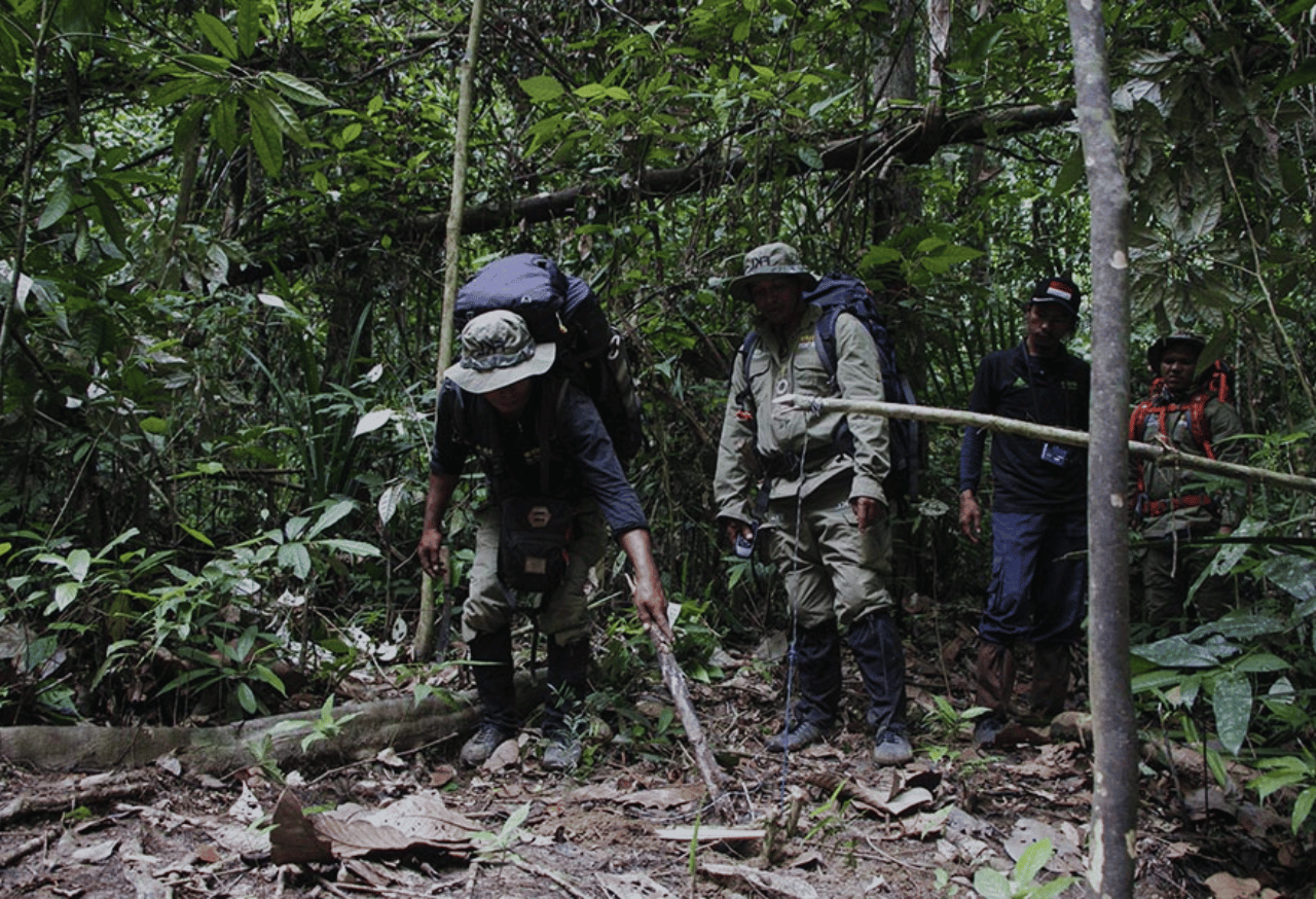 Pemanfaatan Berkelanjutan
