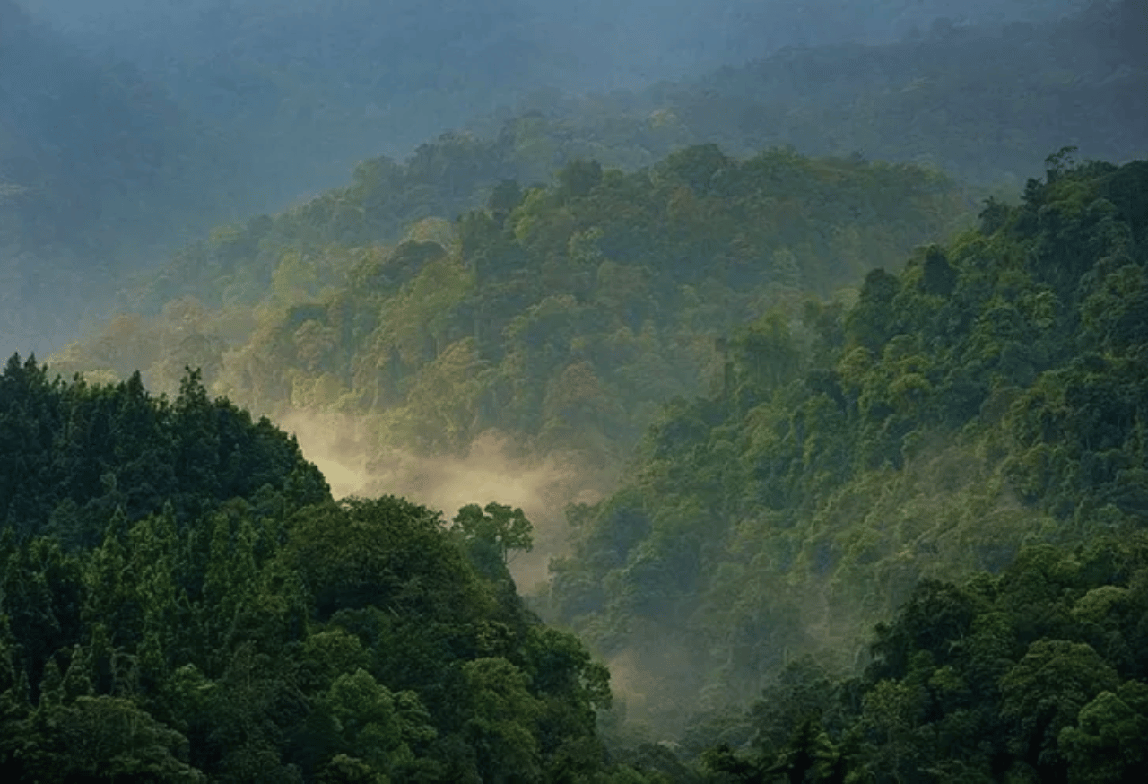 Pemantauan Ekosistem