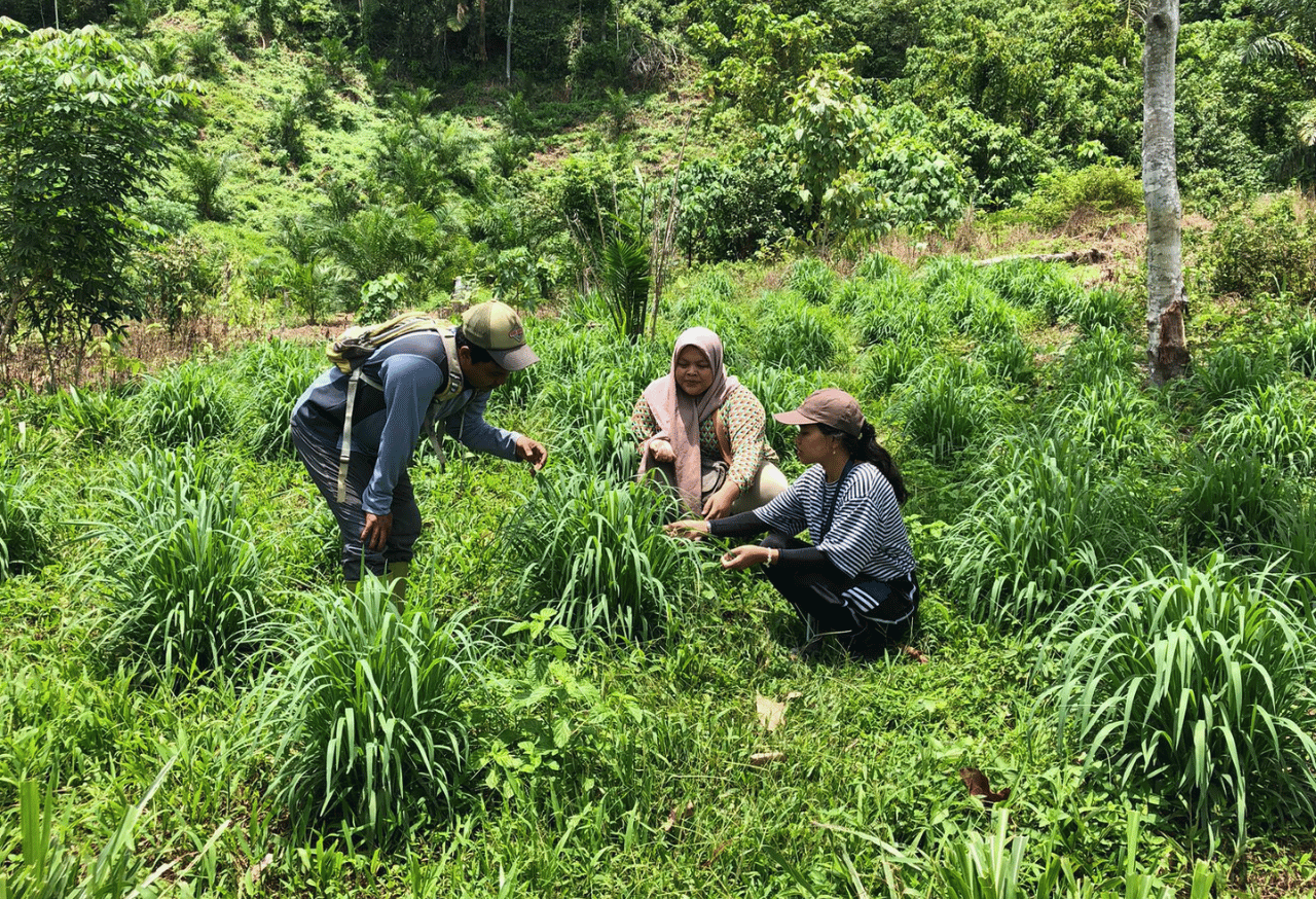 Pemberdayaan Masyarakat