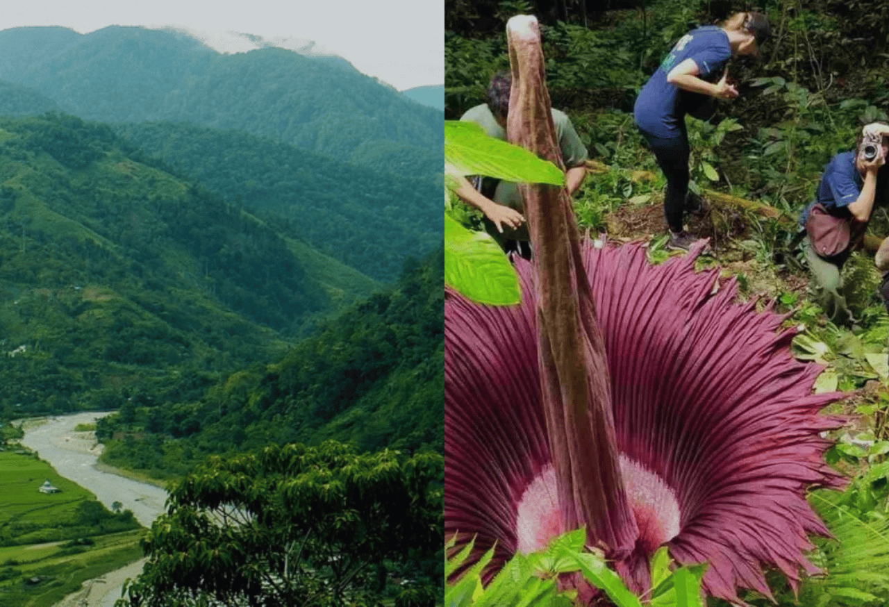 Penelitian dan Edukasi