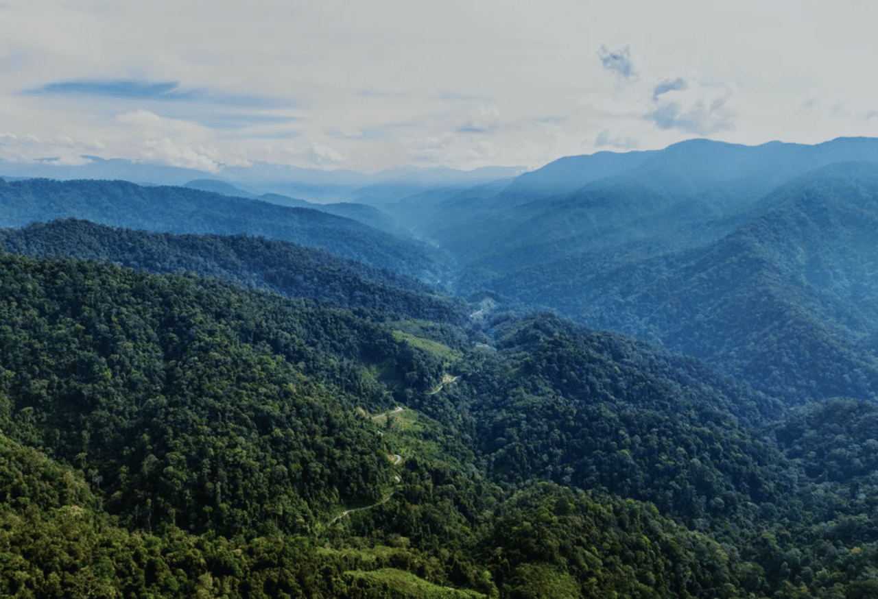 Pengelolaan Ekosistem Hutan