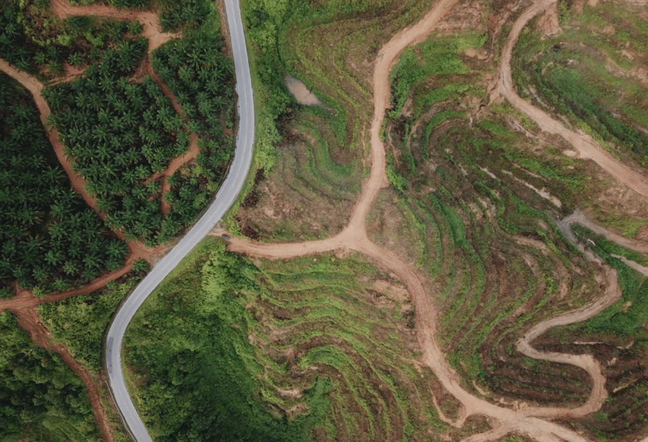 Pengendalian Deforestasi