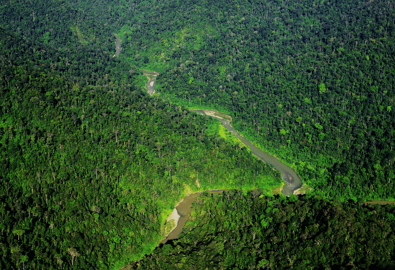 Perlindungan Ekosistem Hutan Hujan Tropi