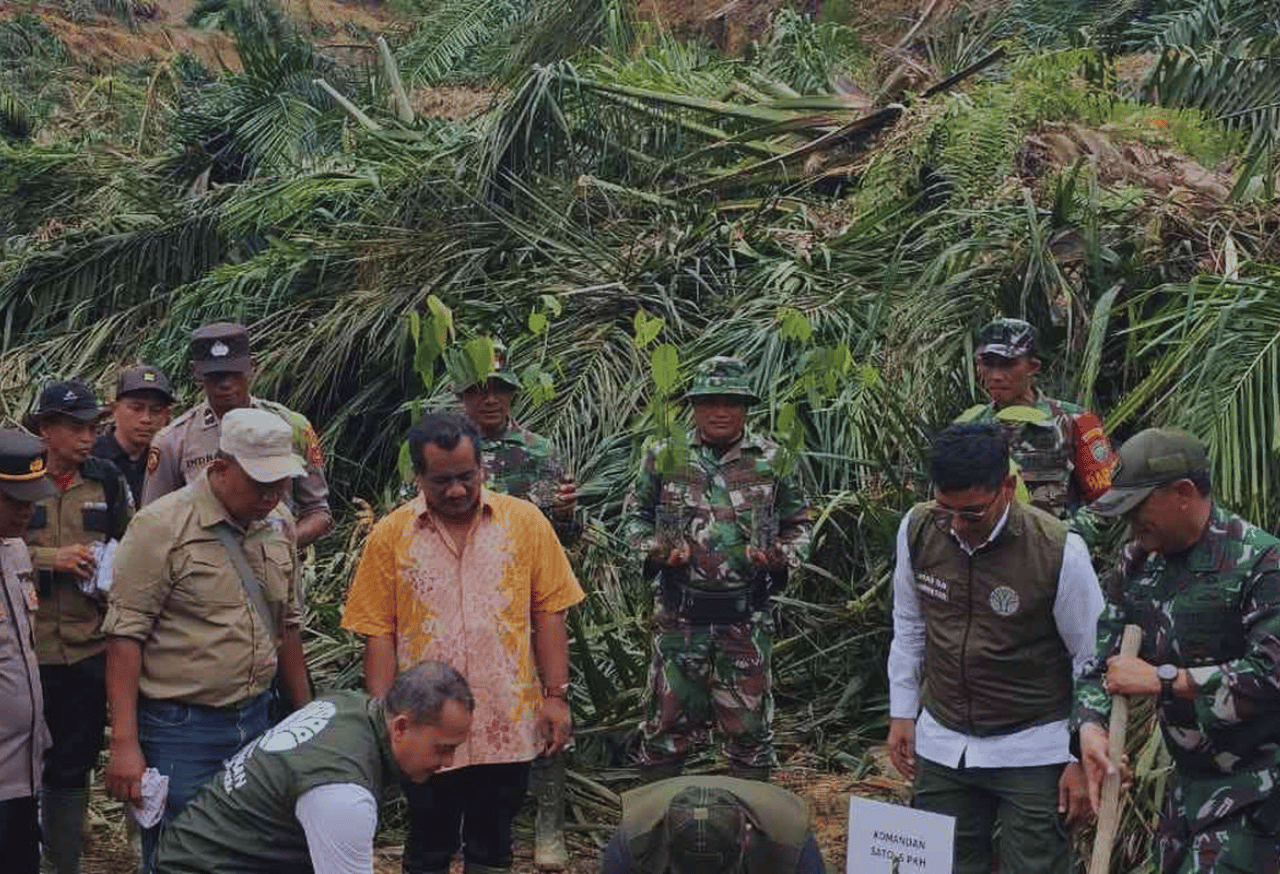 Restorasi Lahan Kritis