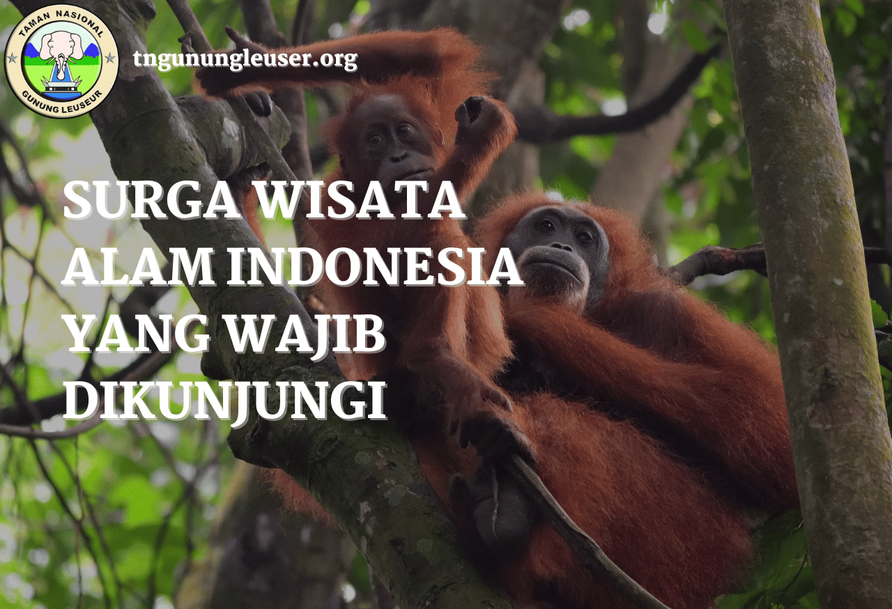 Surga Wisata Alam Indonesia yang Wajib Dikunjungi