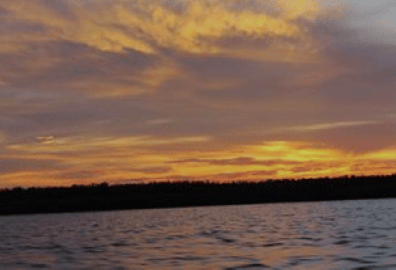 TAMAN NASIONAL BERBAK SEMBILANG