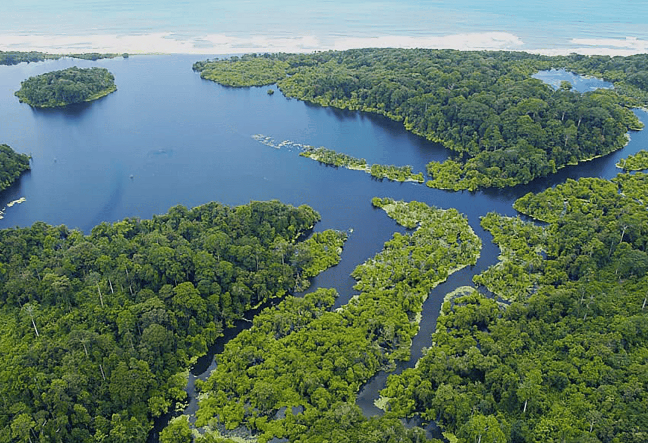 TAMAN NASIONAL BUKIT BARISAN