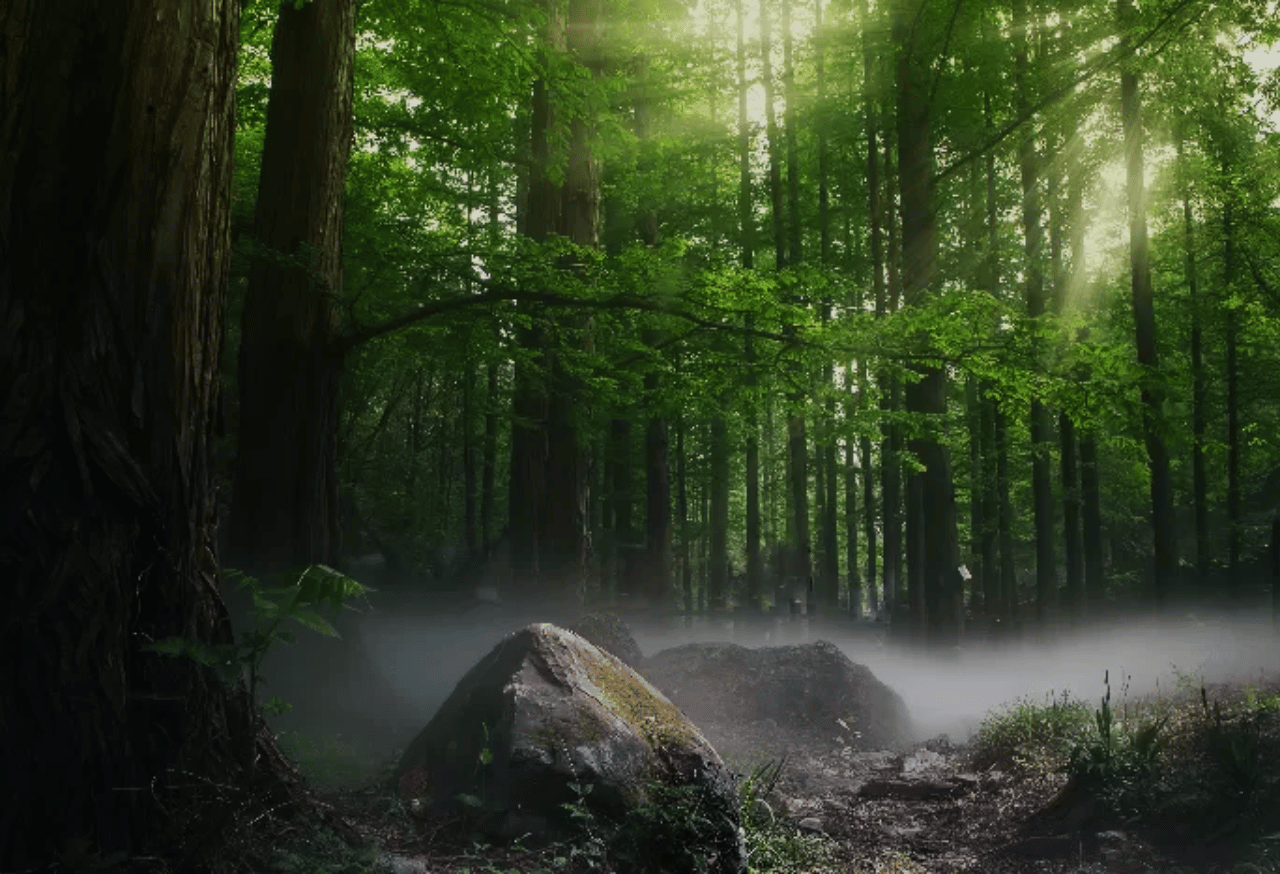 TAMAN NASIONAL BUKIT DUA BELAS