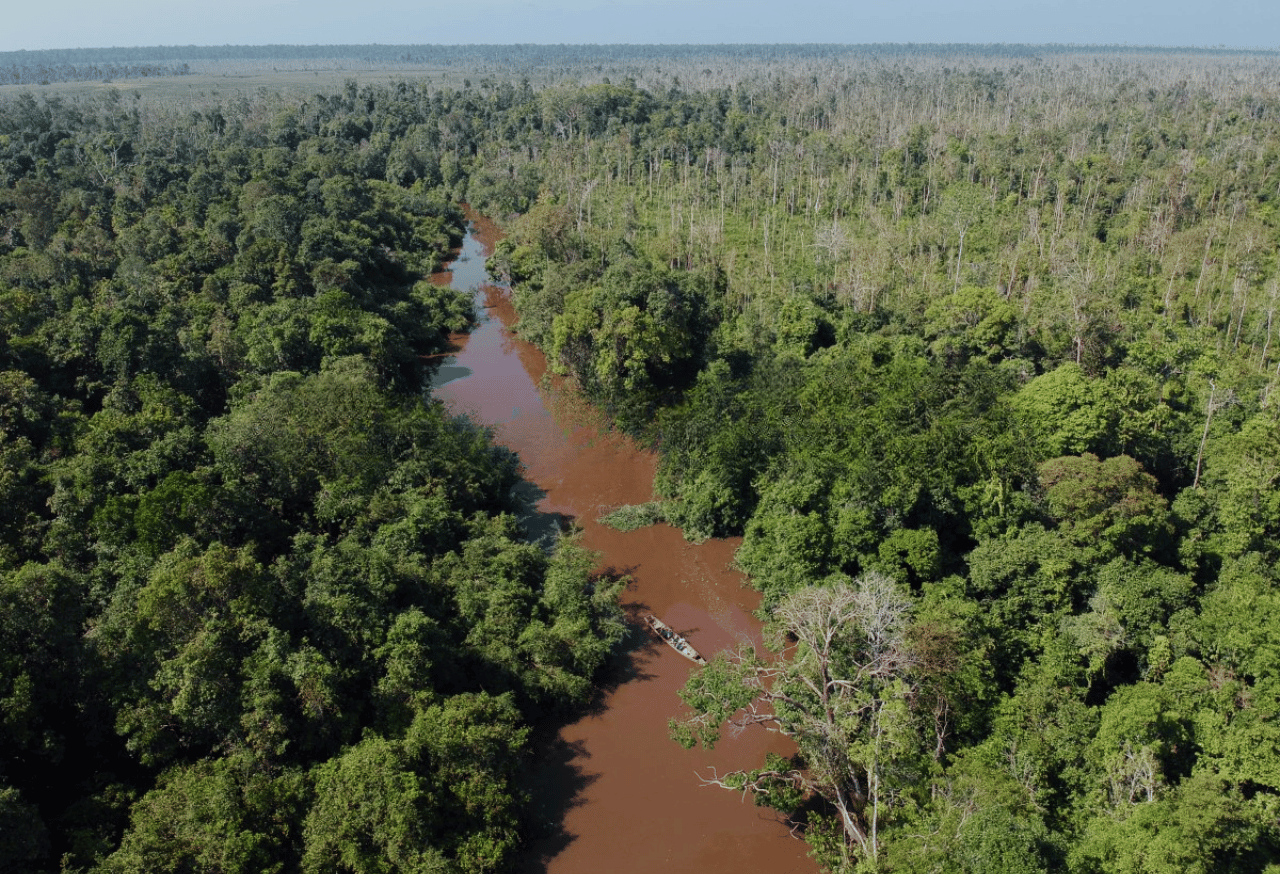TAMAN NASIONAL SEMBILANG