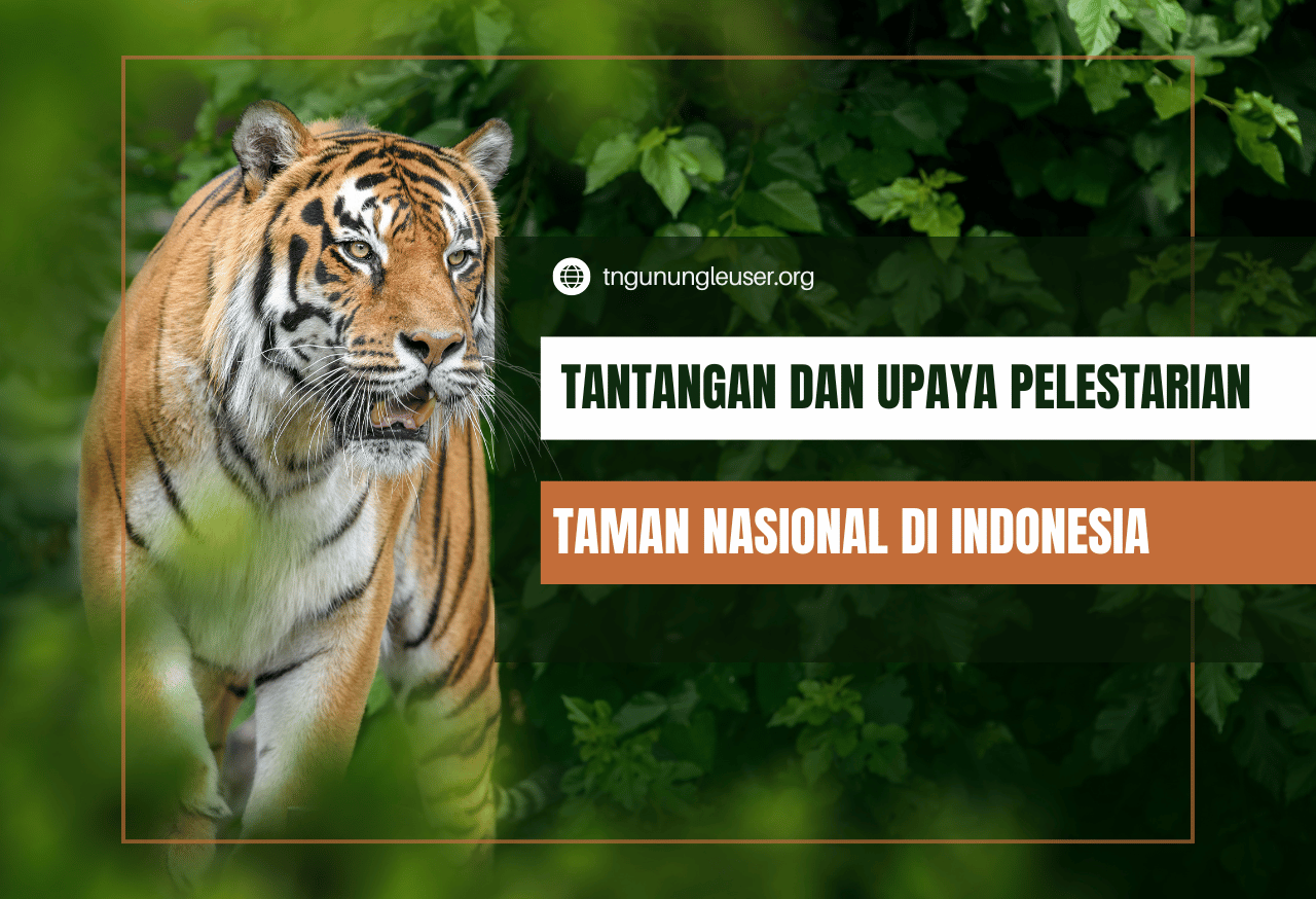 Tantangan dan Upaya Pelestarian Taman Nasional di Indonesia