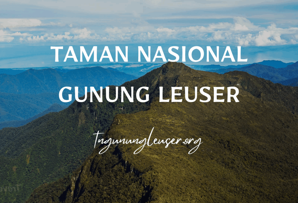 Wisata Alam Taman Nasional Gunung Leuser
